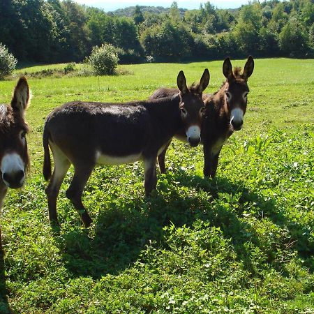 L'orée des bois Dommartin-Les-Cuiseaux Exterior foto